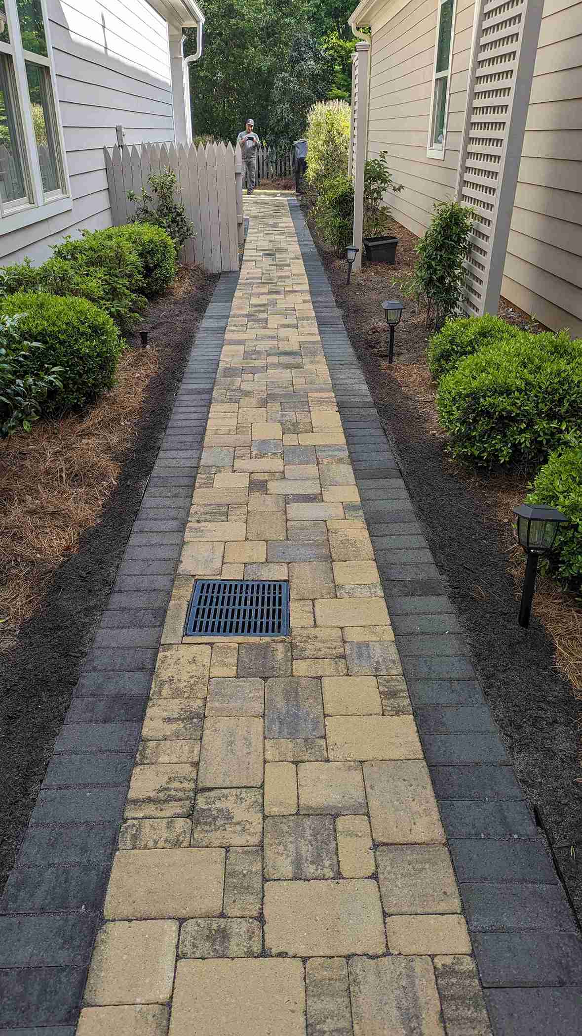 Long paver walkway with a charcoal border course, boxwood plantings and path lighting