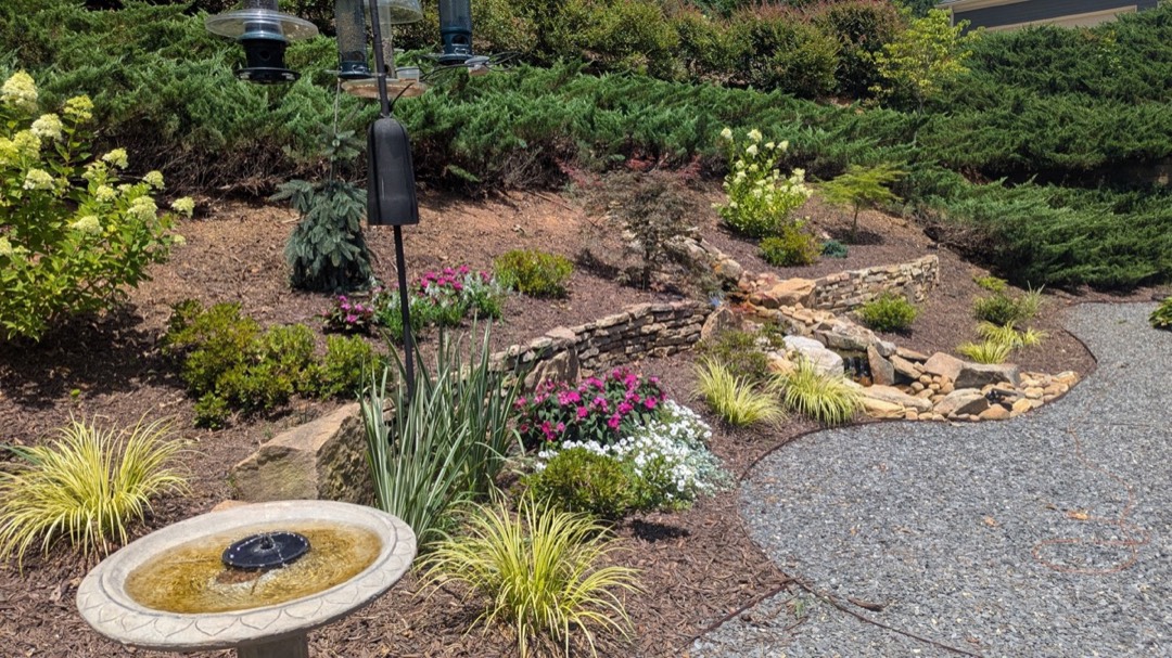 Garden pond with aquatic plants and stone edging