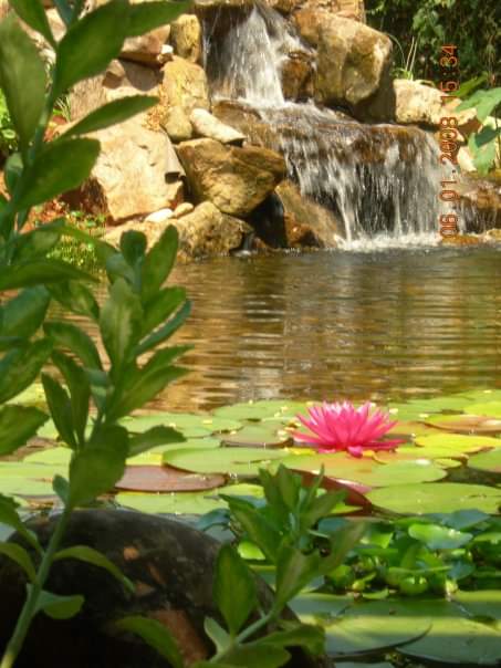 Water feature project 14 by Higginbotham Design in Marietta, GA
